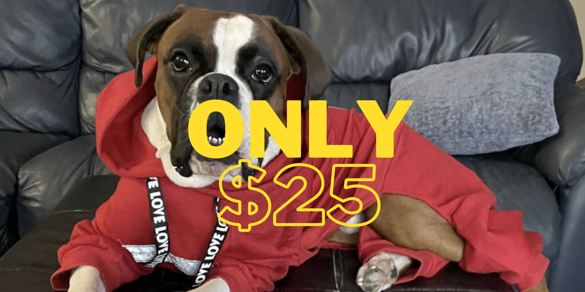 Red Everything Boxer Dogs