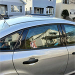 Boxer Animated Vinyl Sticker