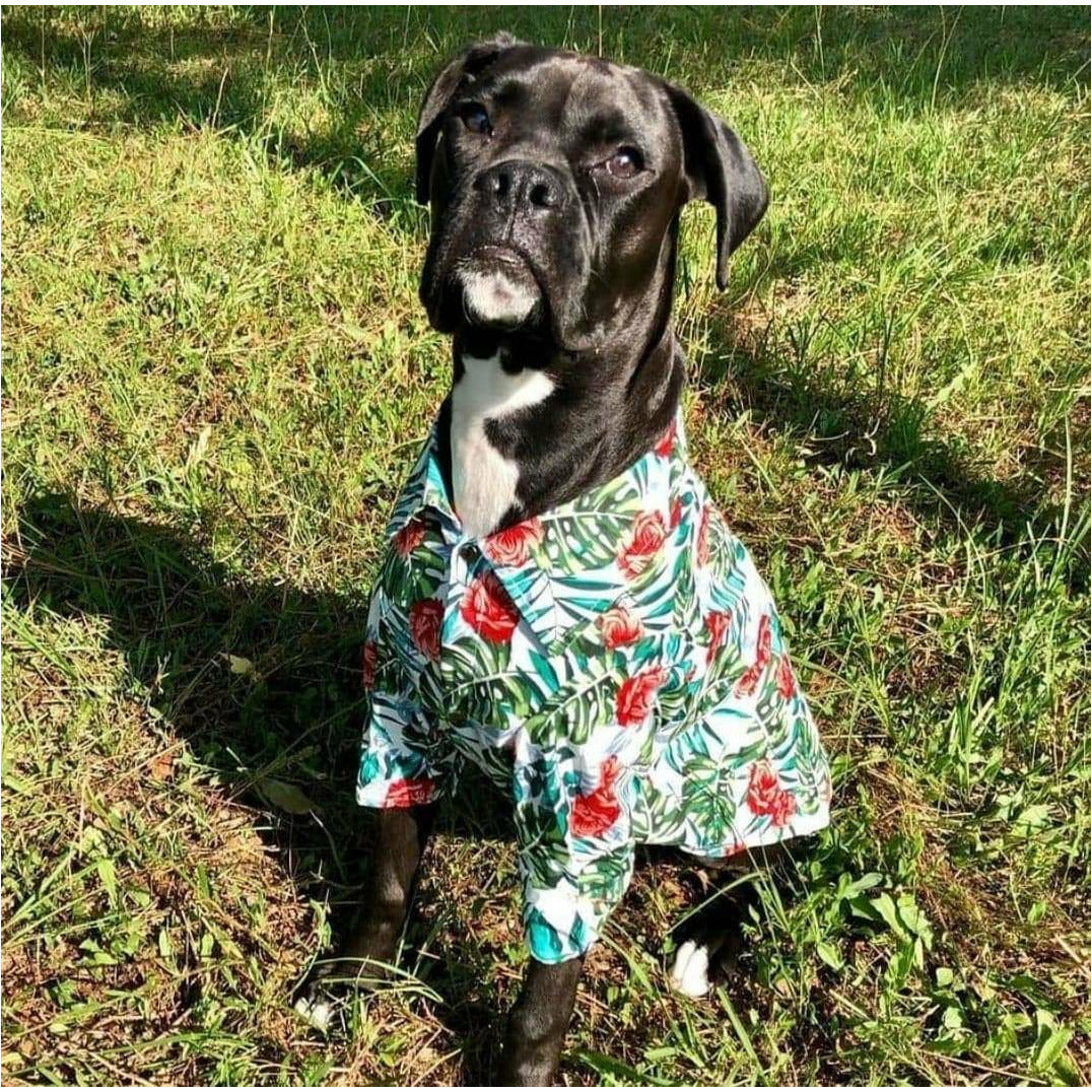 Boxer Hawaiian Shirt