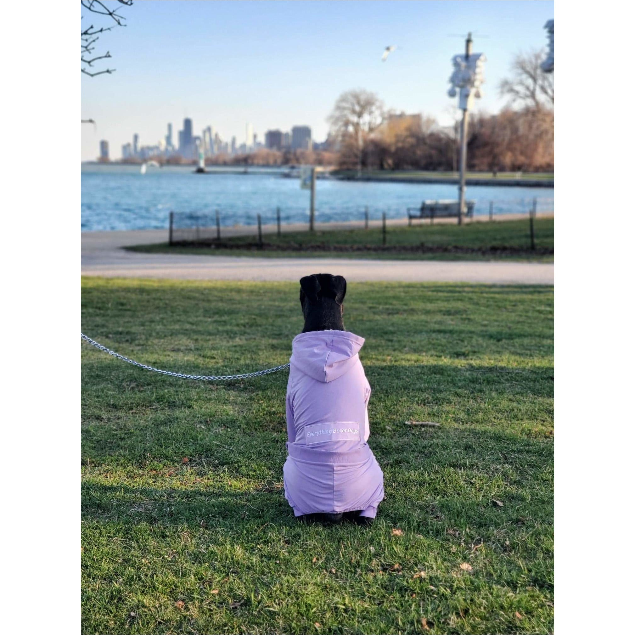 Purple Boxer Jumper Pajamas