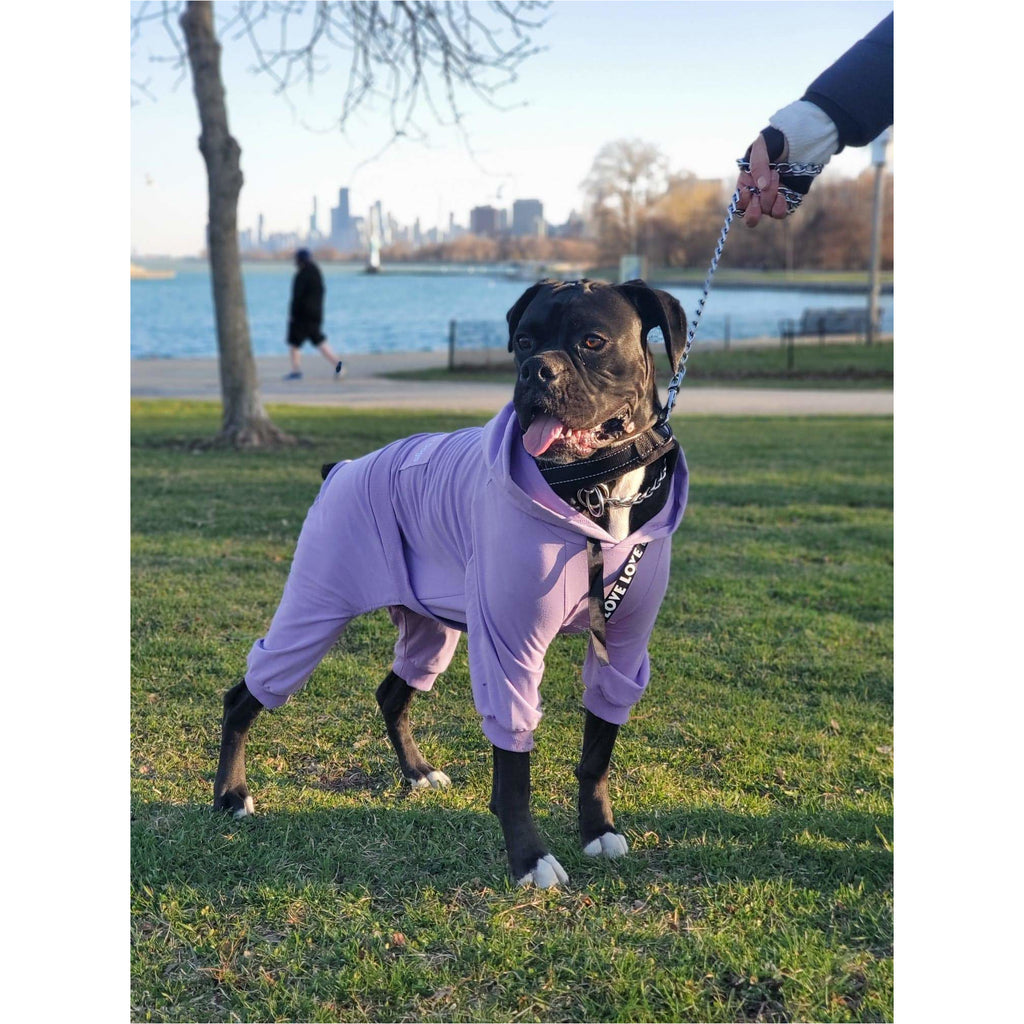 Purple Boxer Jumper Pajamas