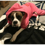 The Famous Boxer Pink Sweatsuit