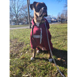 The Boxer Magenta Sweatsuit 2.0