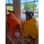 The Boxer Blazing Yellow Sweatsuit Edition