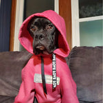 The Famous Boxer Pink Sweatsuit 2.0
