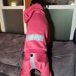 The Famous Boxer Pink Sweatsuit 2.0