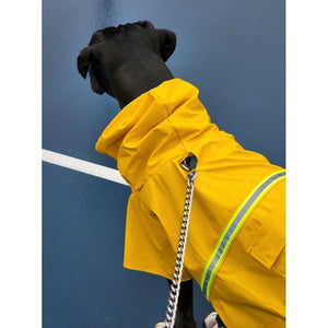 Boxer Rain Trench Coat