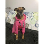 The Famous Boxer Pink Sweatsuit