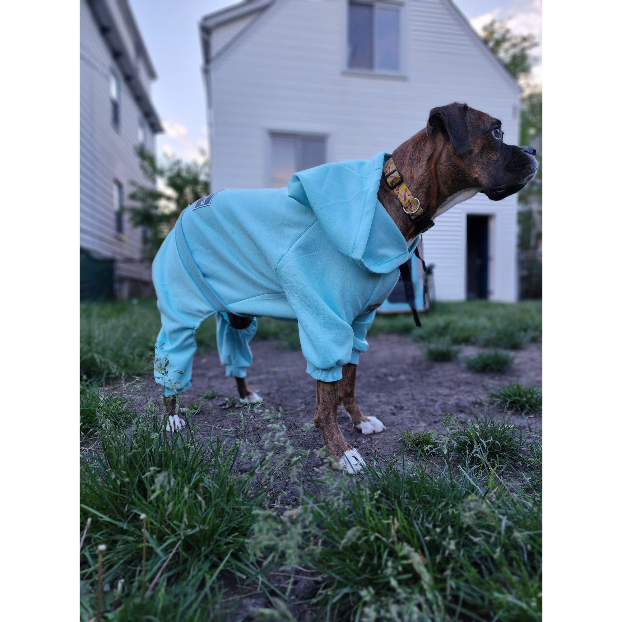 Cotton Candy Blue Sweatsuit 2.0