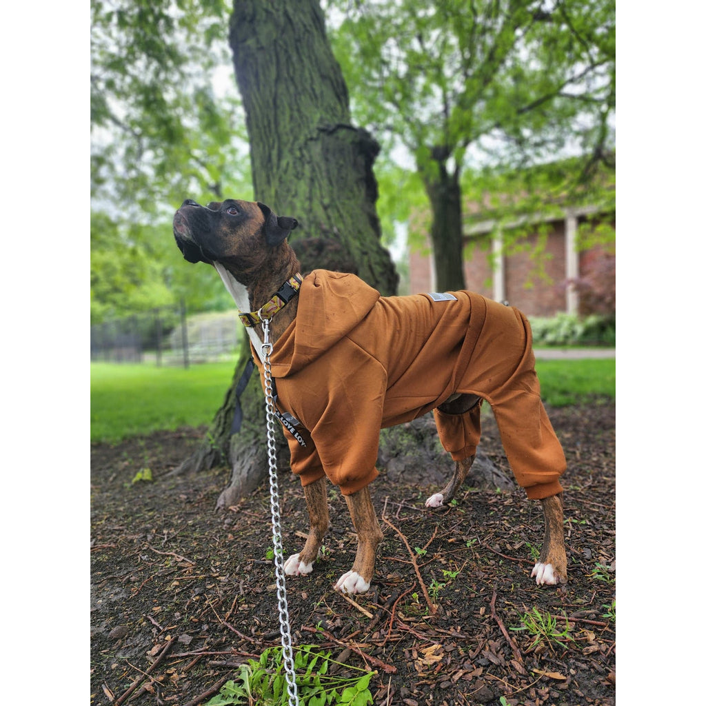 Caramel Latte Sweatsuit 2.0