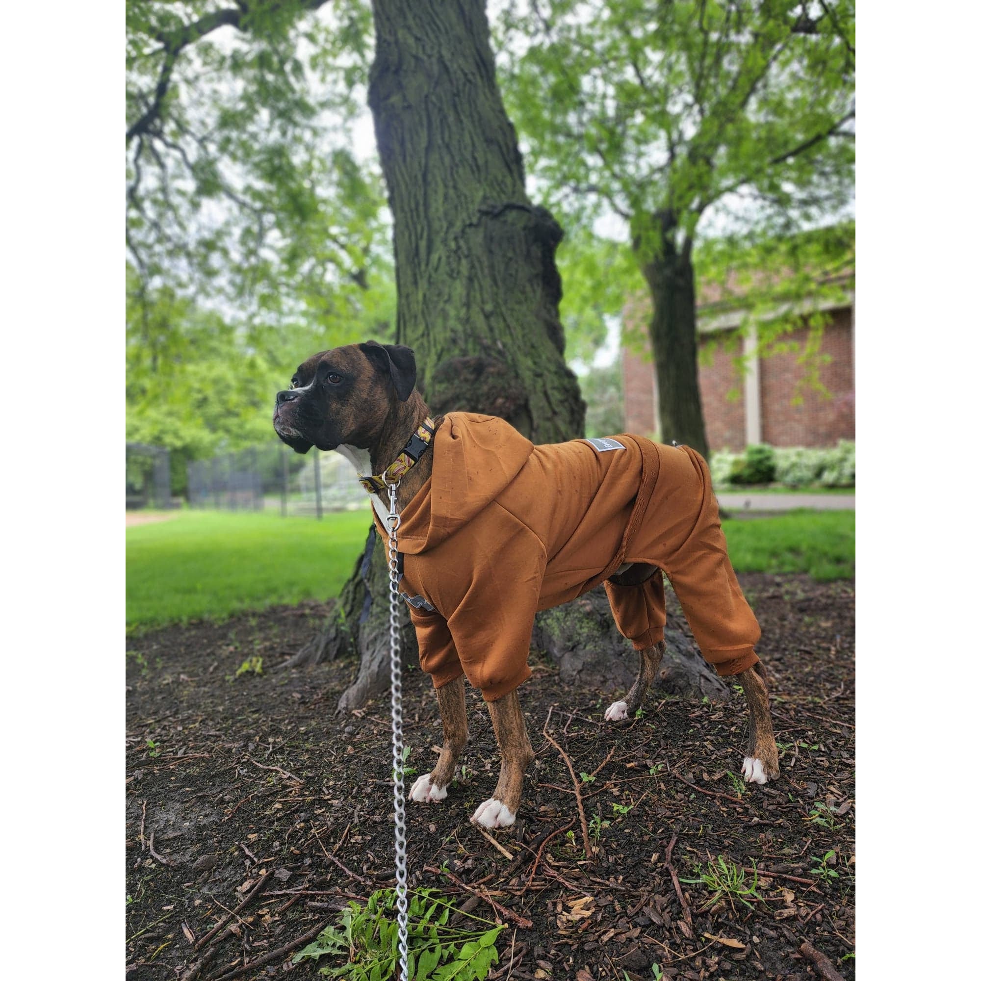 Caramel Latte Sweatsuit 2.0