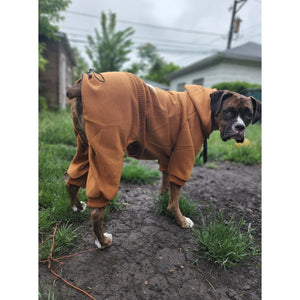 Caramel Latte Sweatsuit 2.0