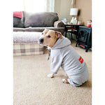 Gray Doggie Sweats