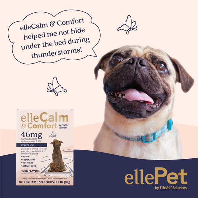 elleCalm&Comfort