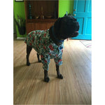 Boxer Hawaiian Shirt
