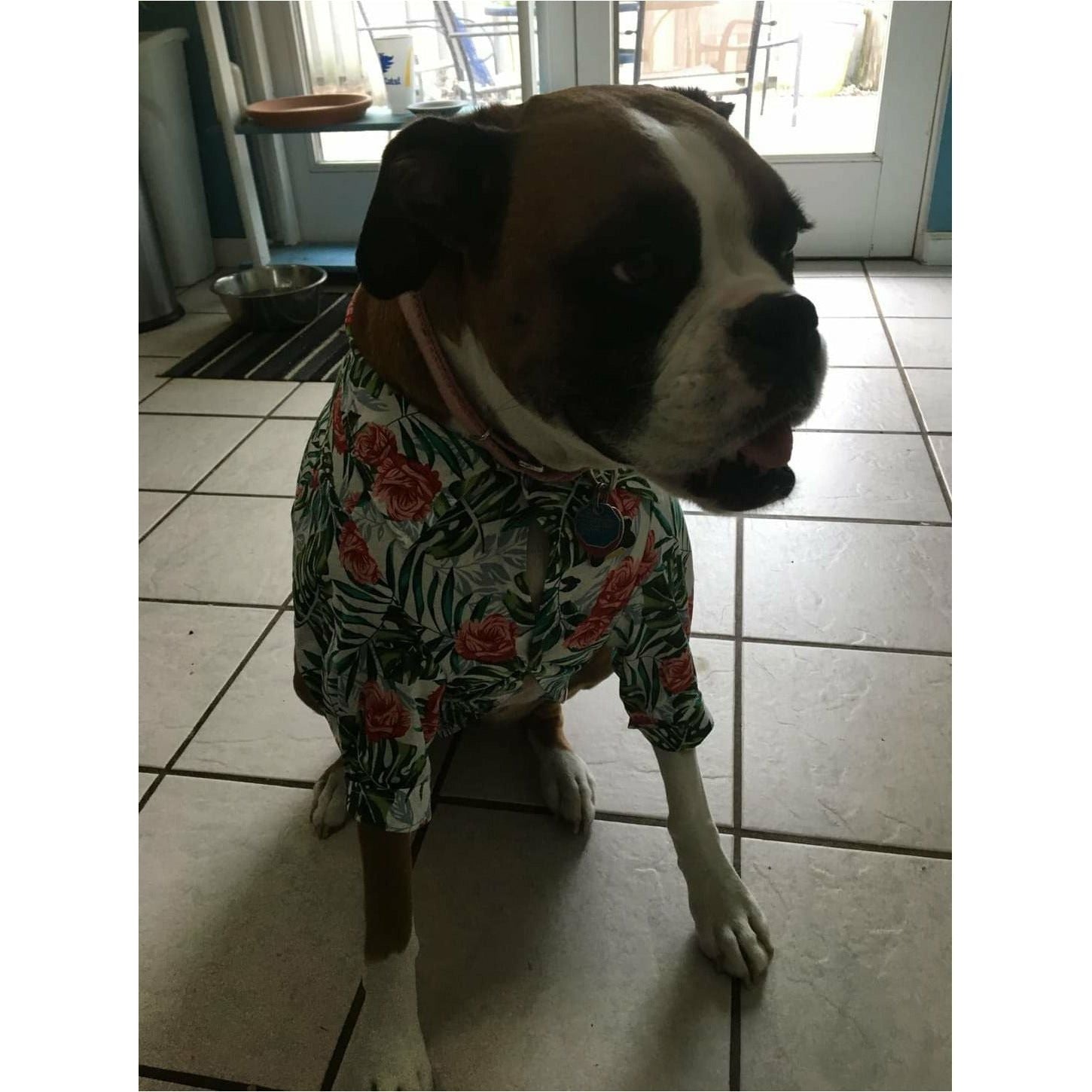 Boxer Hawaiian Shirt