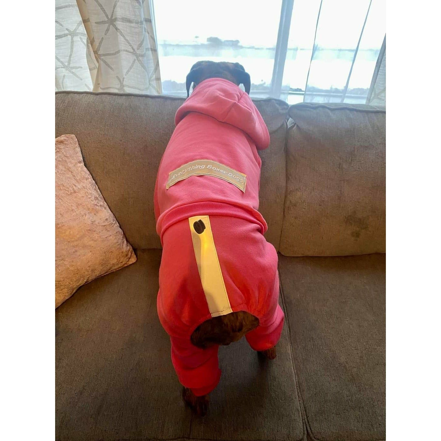 The Famous Boxer Pink Sweatsuit 2.0