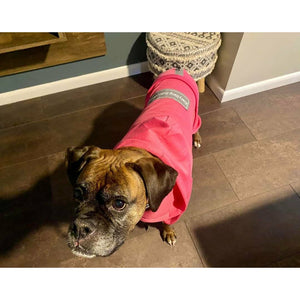 The Famous Boxer Pink Sweatsuit 2.0