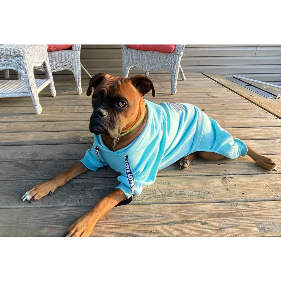 Cotton Candy Blue Sweatsuit 2.0