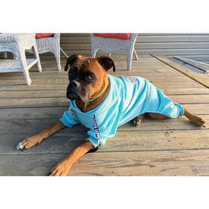 Cotton Candy Blue Sweatsuit 2.0