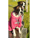 The Famous Boxer Pink Sweatsuit 2.0