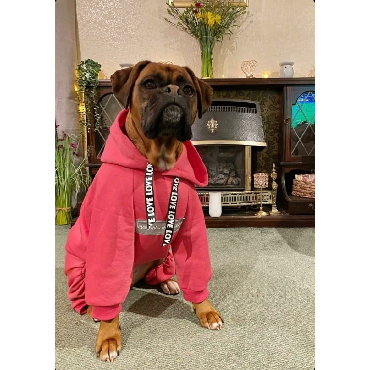 The Famous Boxer Pink Sweatsuit 2.0