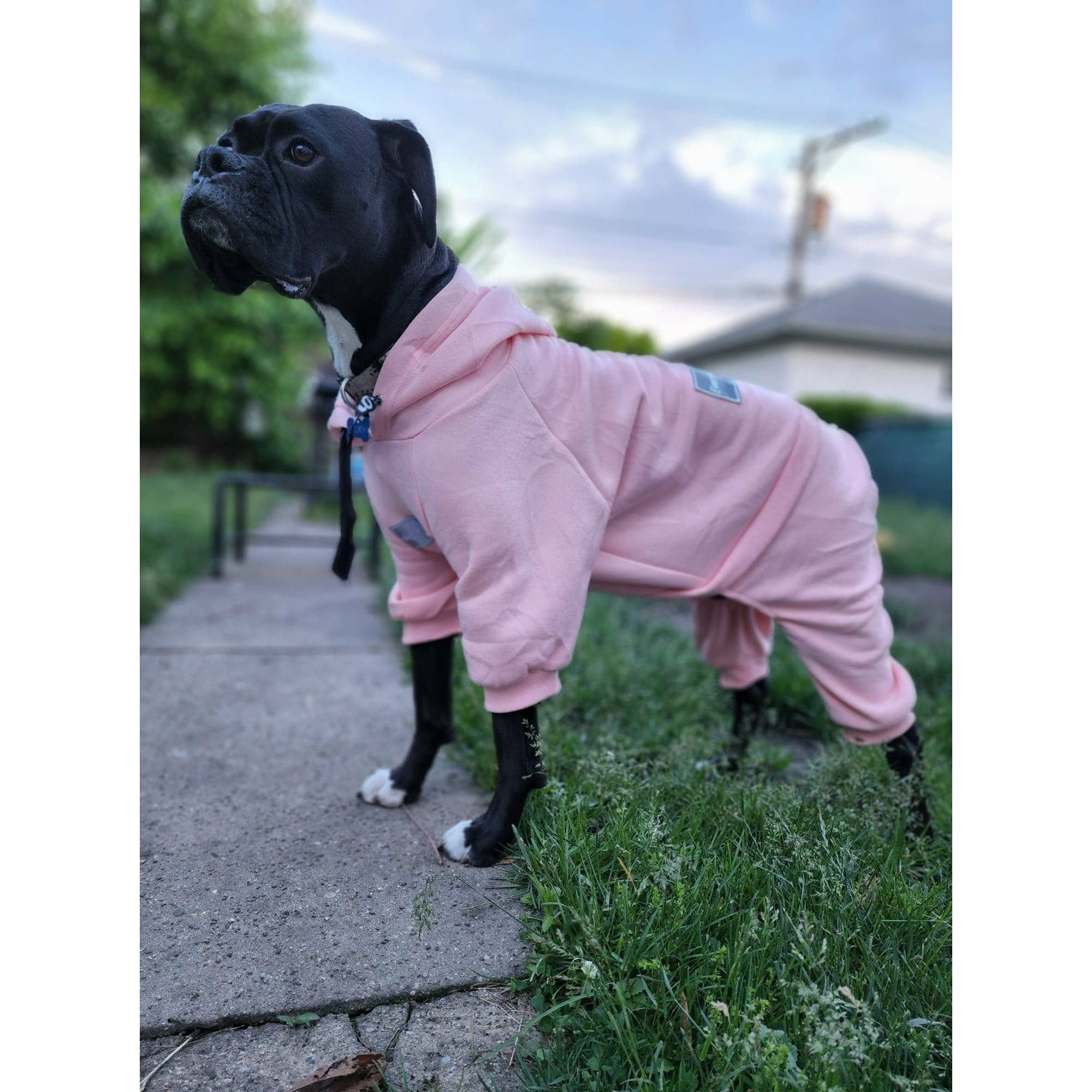 Cotton Candy Pink Boxer Sweatsuit 2.0