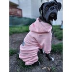 Cotton Candy Pink Boxer Sweatsuit 2.0