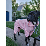 Cotton Candy Pink Boxer Sweatsuit 2.0