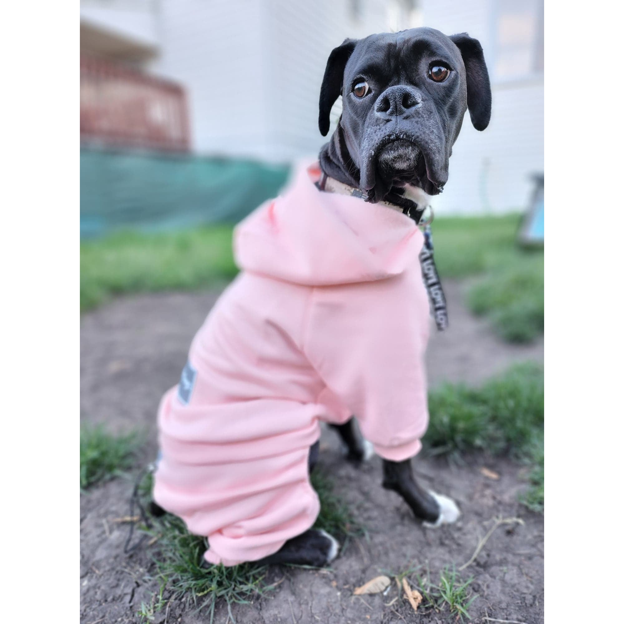 Cotton Candy Pink Boxer Sweatsuit 2.0