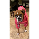 The Famous Boxer Pink Sweatsuit 2.0