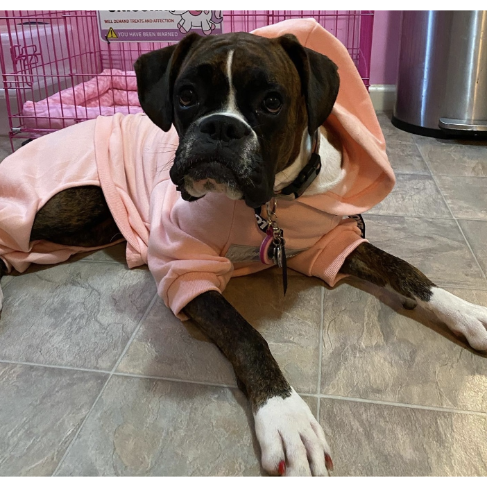 Cotton Candy Pink Boxer Sweatsuit 2.0