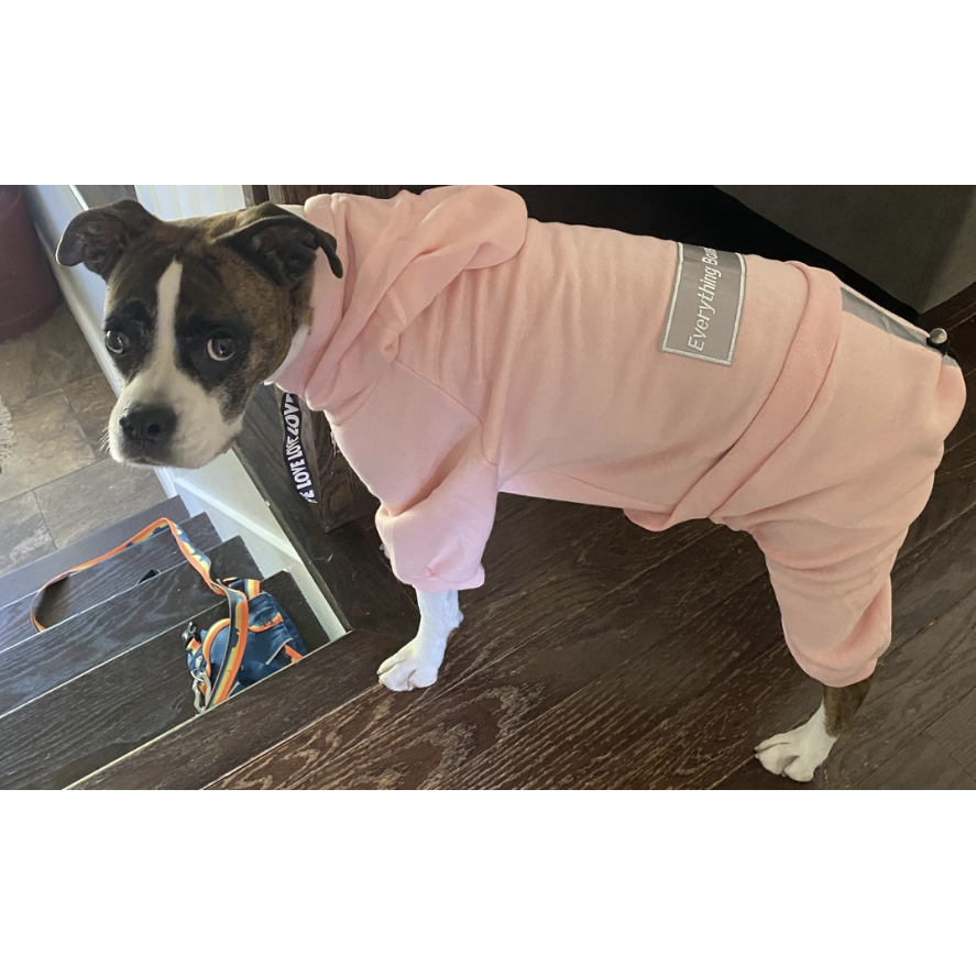 Cotton Candy Pink Boxer Sweatsuit 2.0