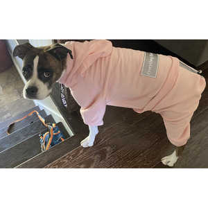 Cotton Candy Pink Boxer Sweatsuit 2.0