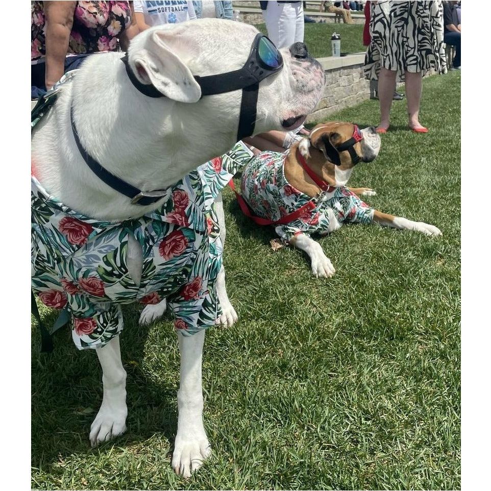 Boxer Hawaiian Shirt