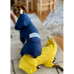 The Boxer Blazing Yellow Sweatsuit Edition