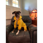 The Boxer Blazing Yellow Sweatsuit Edition