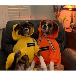 The Boxer Blazing Yellow Sweatsuit Edition
