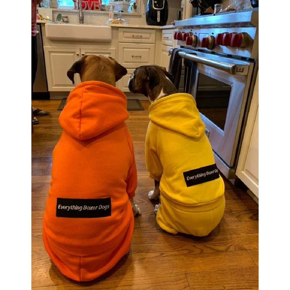 The Boxer Blazing Yellow Sweatsuit Edition