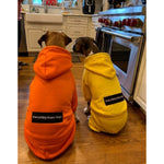 The Boxer Blazing Yellow Sweatsuit Edition
