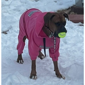 The Famous Boxer Pink Sweatsuit 2.0
