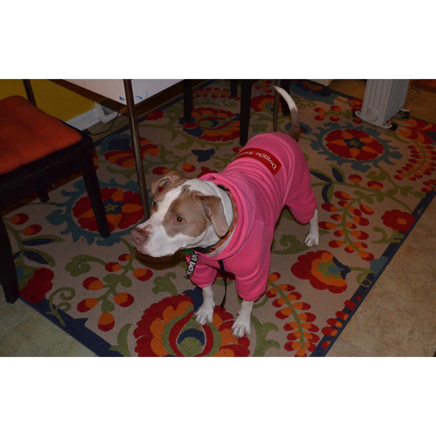 Pink Doggie Sweats