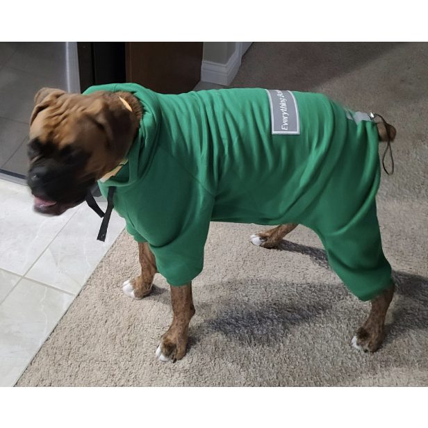 The Green Sweatsuit 2.0