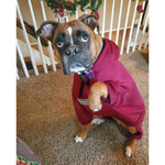 The Boxer Magenta Sweatsuit 2.0
