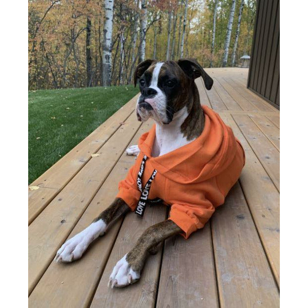 The Boxer Orange Sweatsuit 2.0