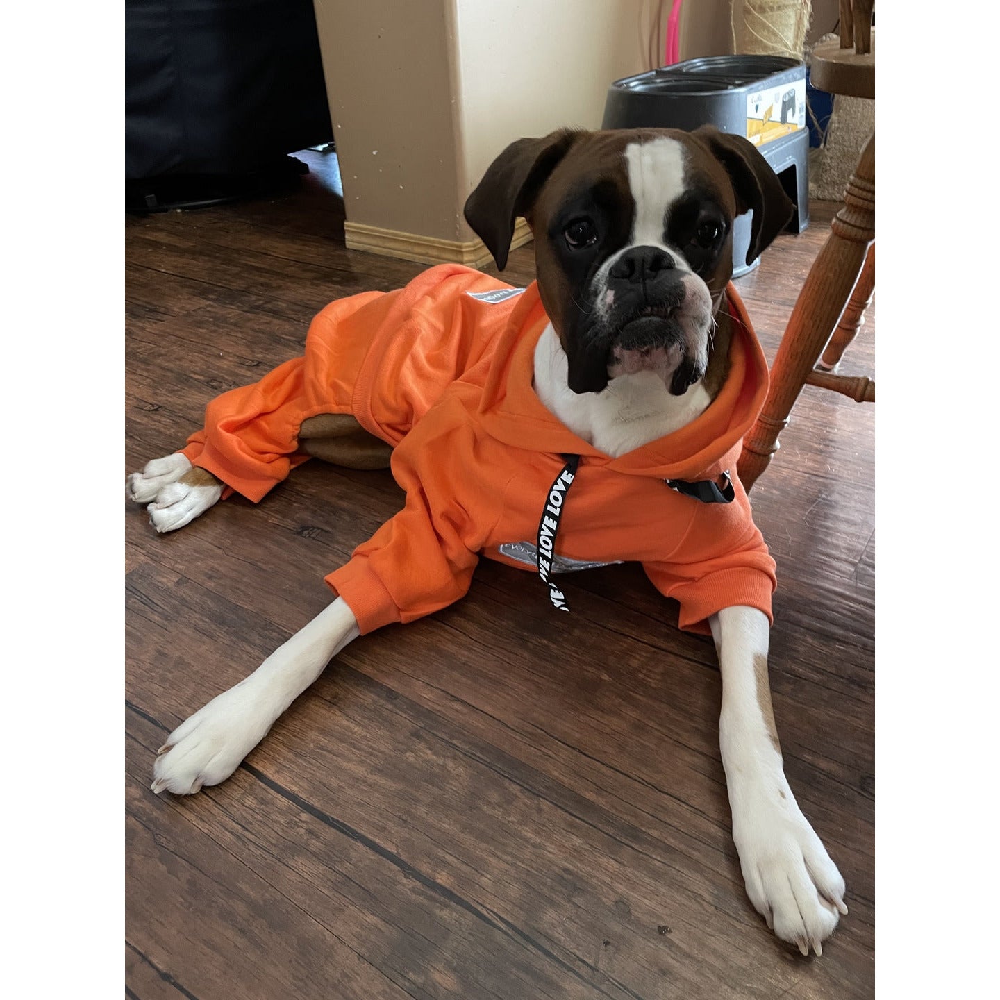 The Boxer Orange Sweatsuit 2.0