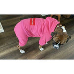 The Famous Boxer Pink Sweatsuit