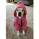 The Famous Boxer Pink Sweatsuit