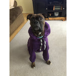 The Boxer Poppin' Purple Sweatsuit 2.0