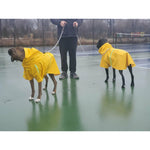 Boxer Rain Trench Coat